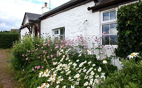 Tornaroan Cottage